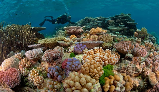 Australia: From Ancient Roots to Global Influence – A Nation’s Rich History and Global Role