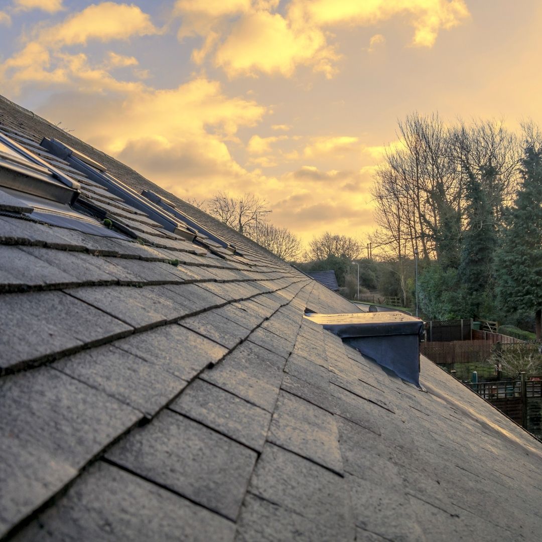 Your Local Experts in Coastal Roof Care